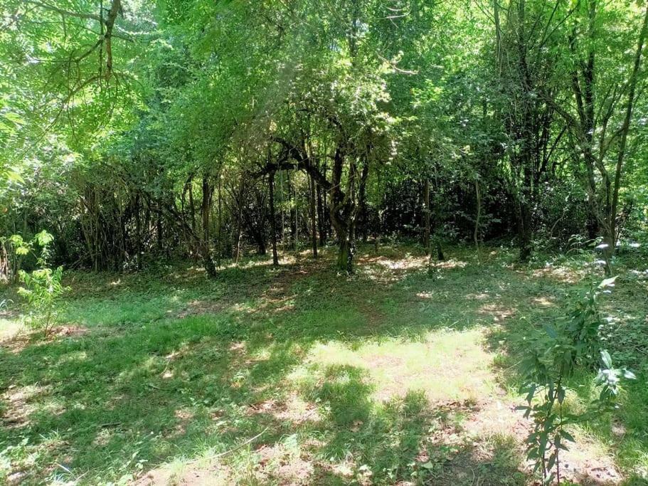 La Colline Aux Oiseaux, La Tranquillite Des Bois Villa Molieres-sur-Ceze Ngoại thất bức ảnh